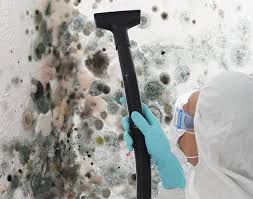 Breckenridge, MI Mold Removal Services Company